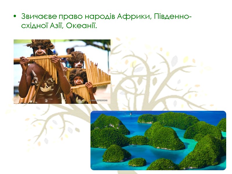 Звичаєве право народів Африки, Південно-східної Азії, Океанії.